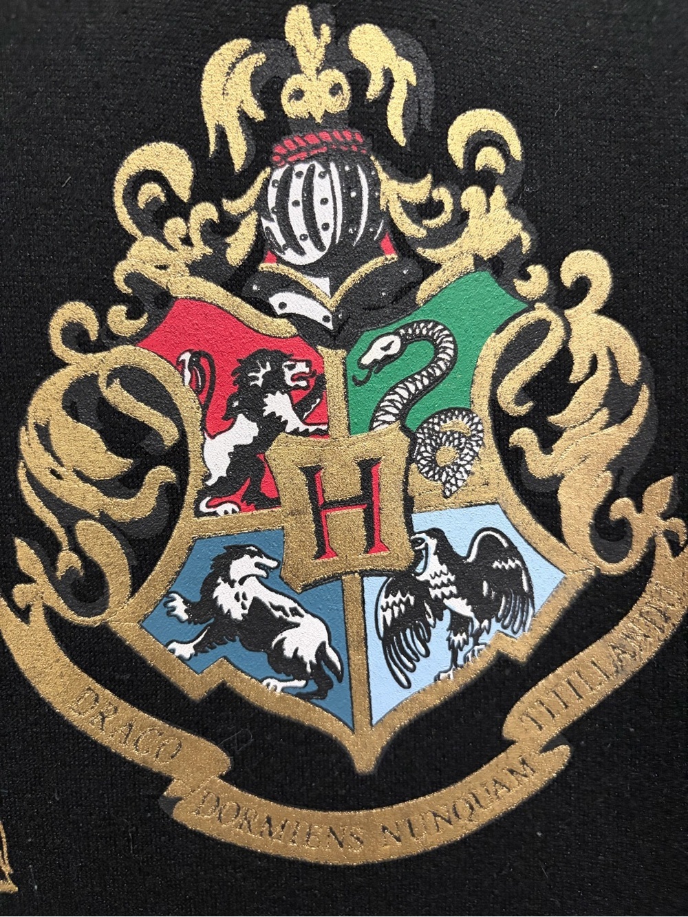 Harry Potter Hogwarts Black Pullover Hoodie with Crest and House Emblems - Picture 6 of 11